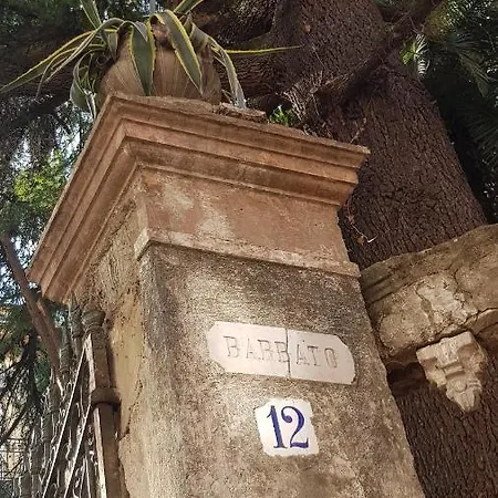 Il Cedro