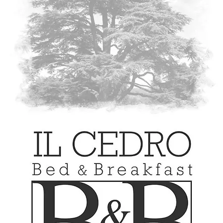 ベッド・アンド・ブレックファスト Il Cedro 3*