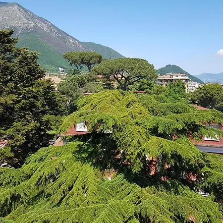Il Cedro Cava De' Tirreni