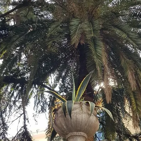 Il Cedro ベッド・アンド・ブレックファスト カーヴァ・デ・ティッレーニ