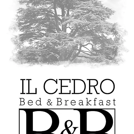 Il Cedro
