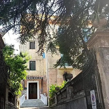 Il Cedro