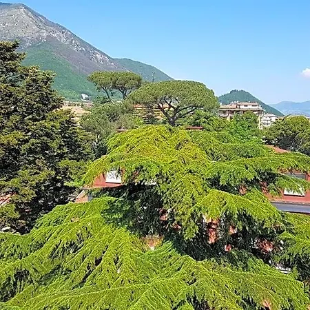 Bed & Breakfast Il Cedro 3*