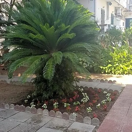 Il Cedro Cava deʼ Tirreni