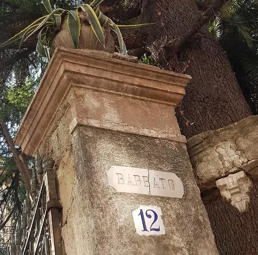 Il Cedro